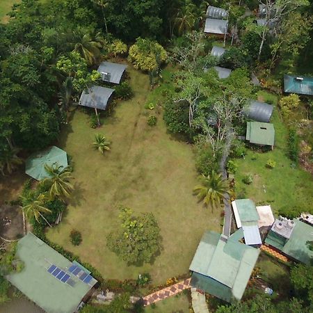 Lirio Lodge Barra de Pacuare Zewnętrze zdjęcie