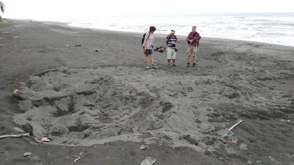 Lirio Lodge Barra de Pacuare Zewnętrze zdjęcie