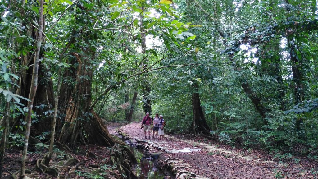 Lirio Lodge Barra de Pacuare Zewnętrze zdjęcie
