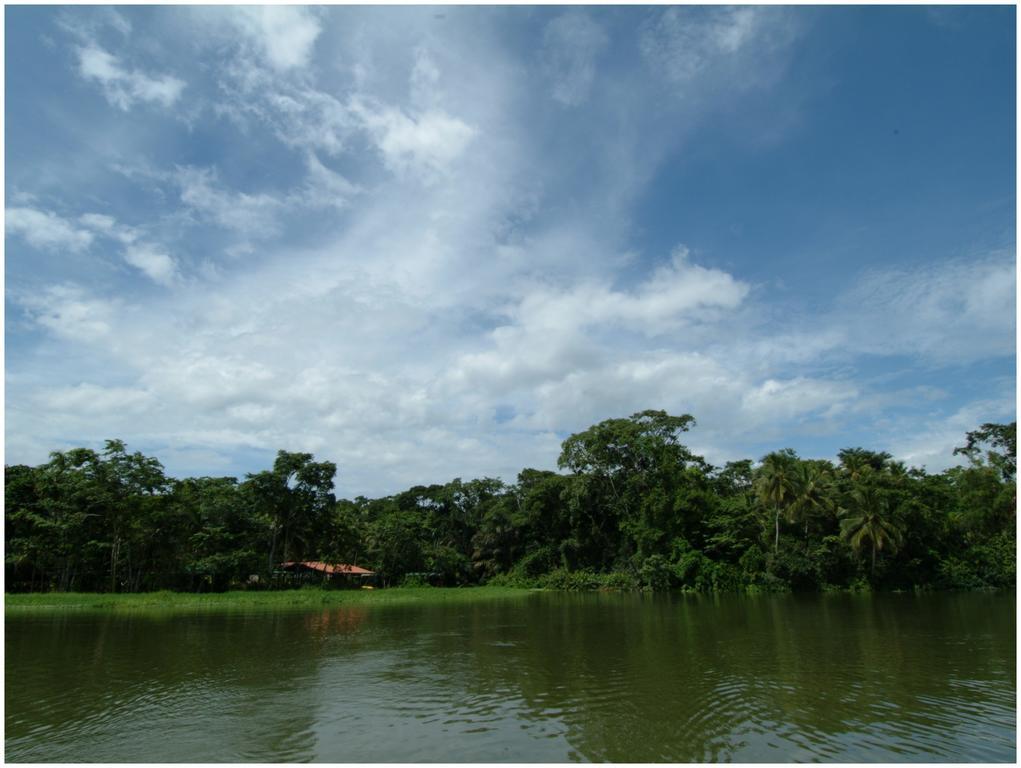 Lirio Lodge Barra de Pacuare Zewnętrze zdjęcie