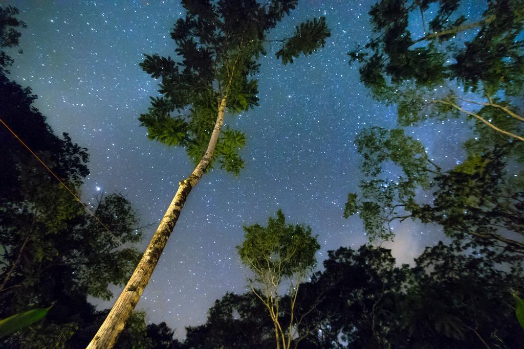 Lirio Lodge Barra de Pacuare Zewnętrze zdjęcie
