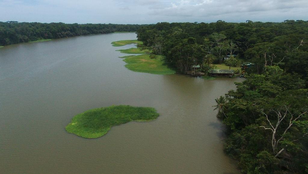 Lirio Lodge Barra de Pacuare Zewnętrze zdjęcie