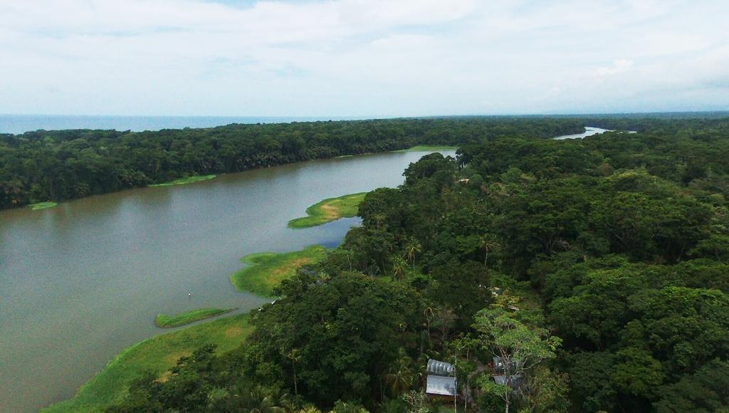 Lirio Lodge Barra de Pacuare Zewnętrze zdjęcie