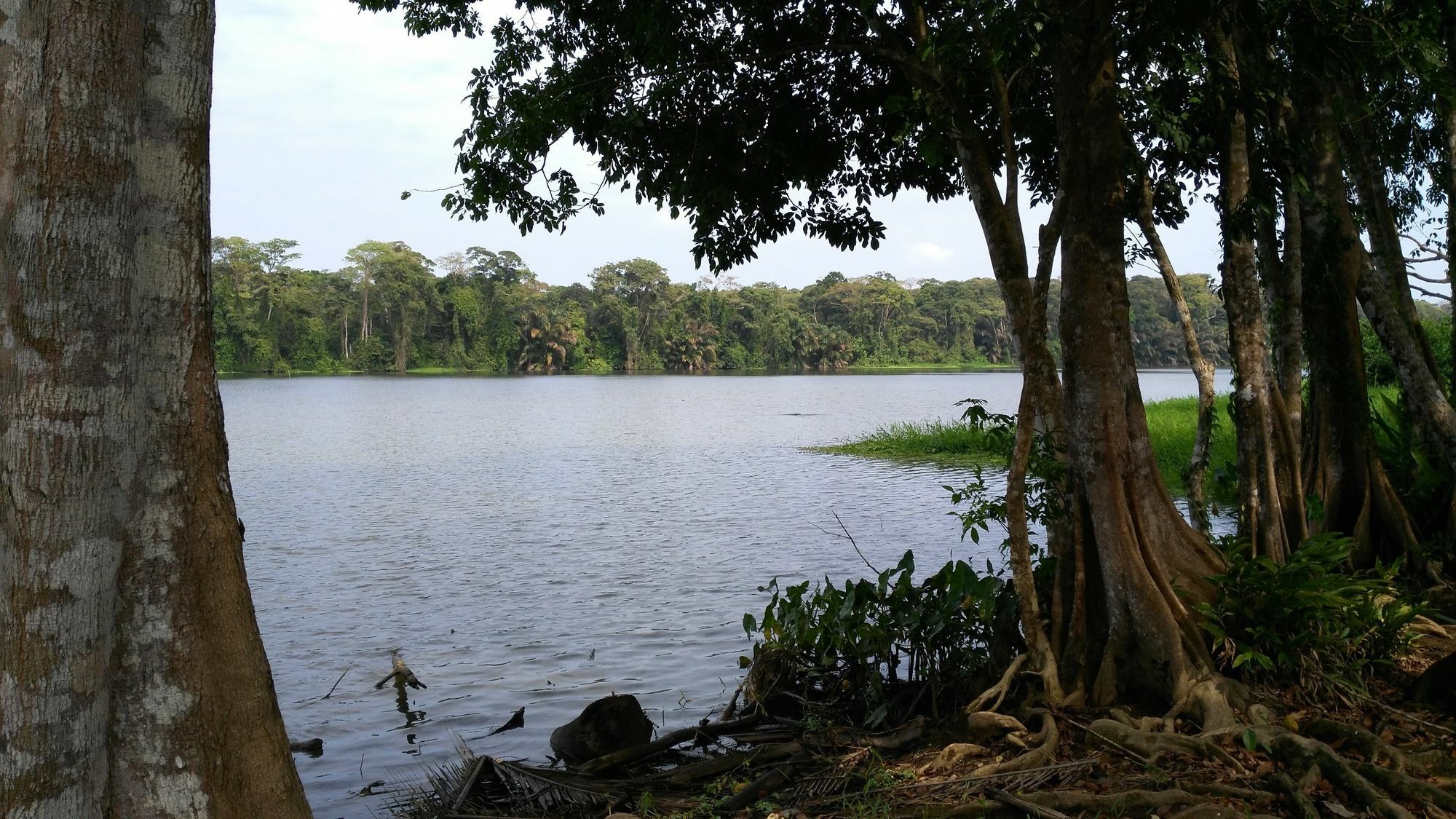 Lirio Lodge Barra de Pacuare Zewnętrze zdjęcie