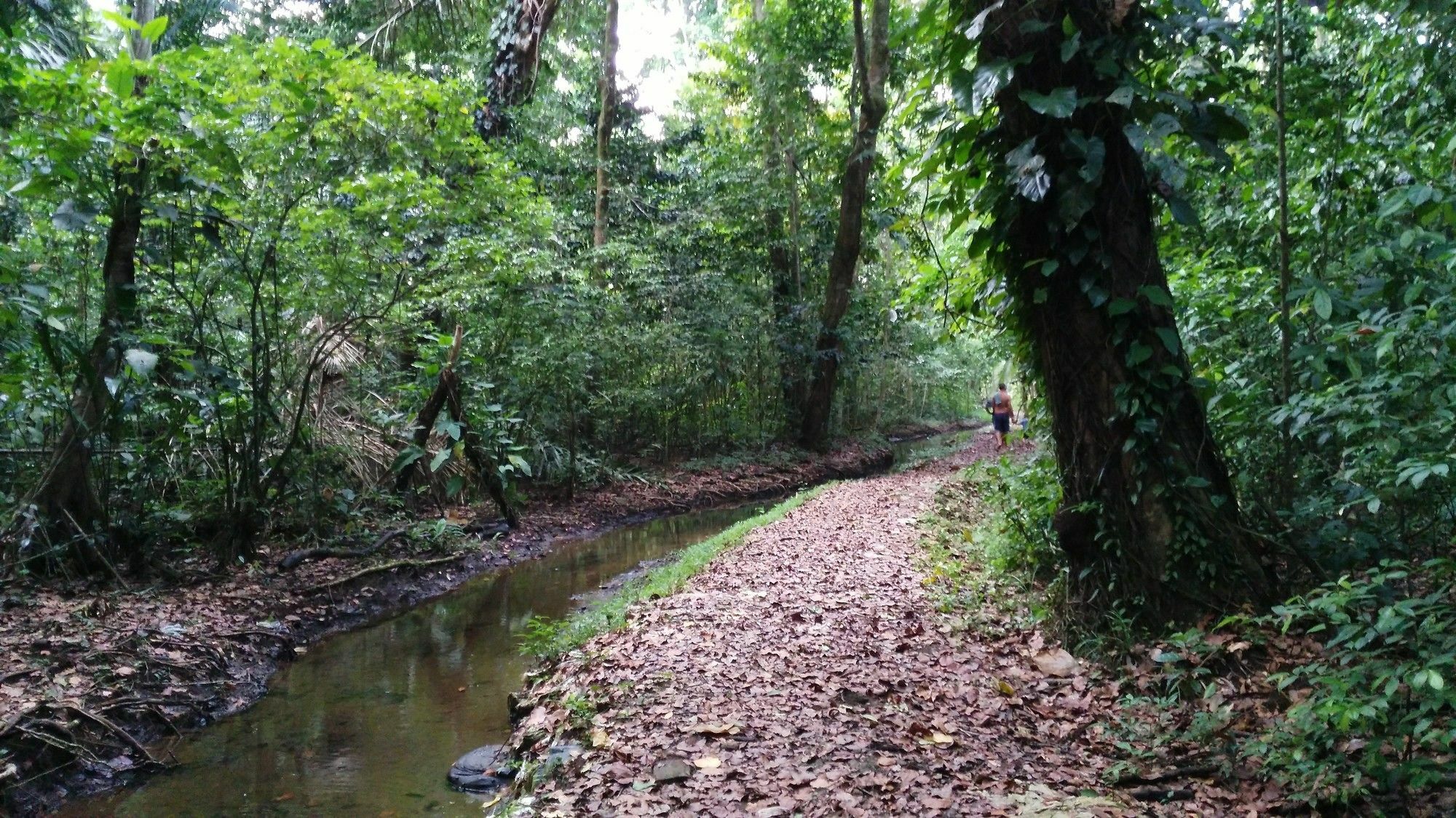 Lirio Lodge Barra de Pacuare Zewnętrze zdjęcie