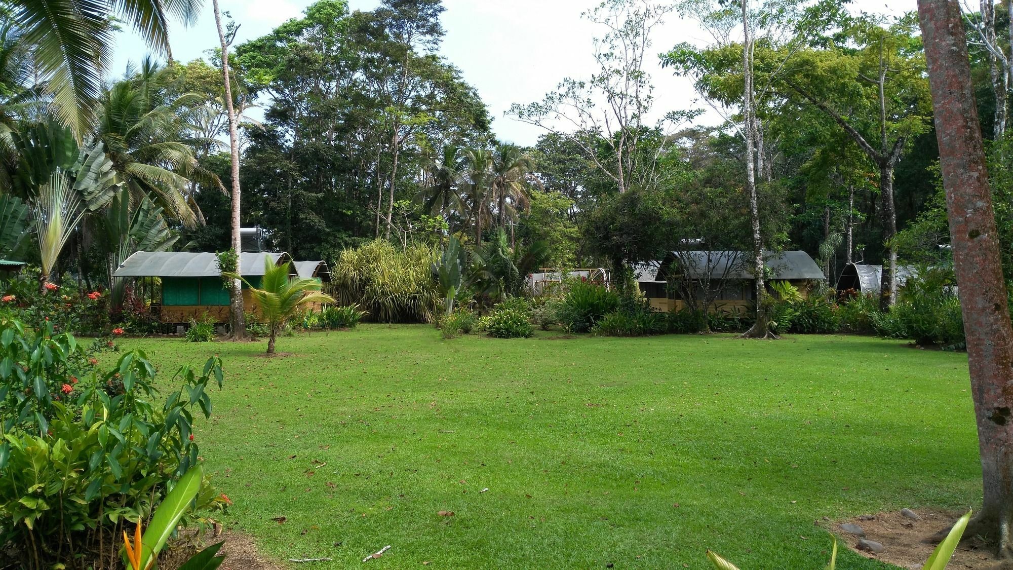Lirio Lodge Barra de Pacuare Zewnętrze zdjęcie