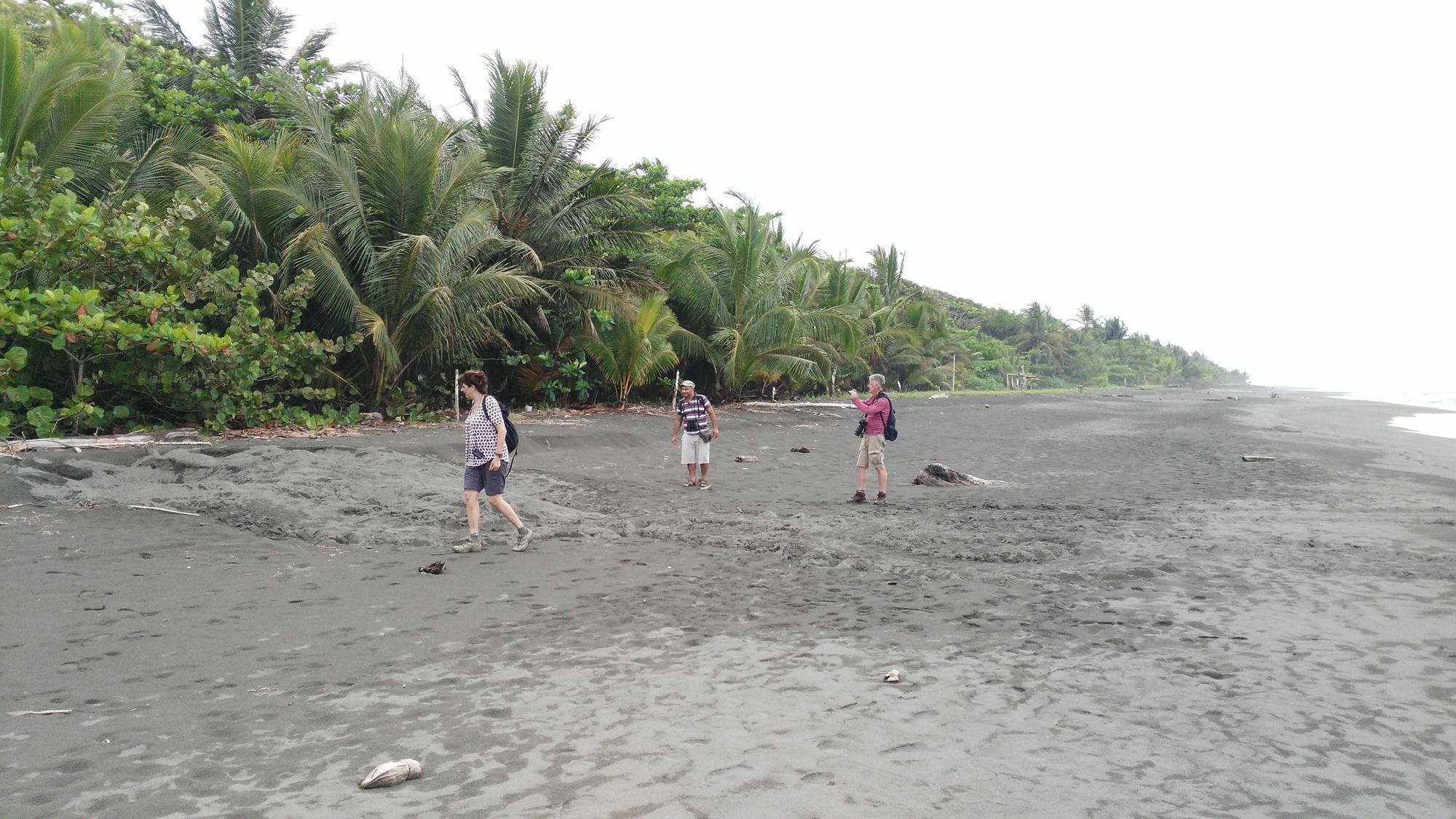 Lirio Lodge Barra de Pacuare Zewnętrze zdjęcie