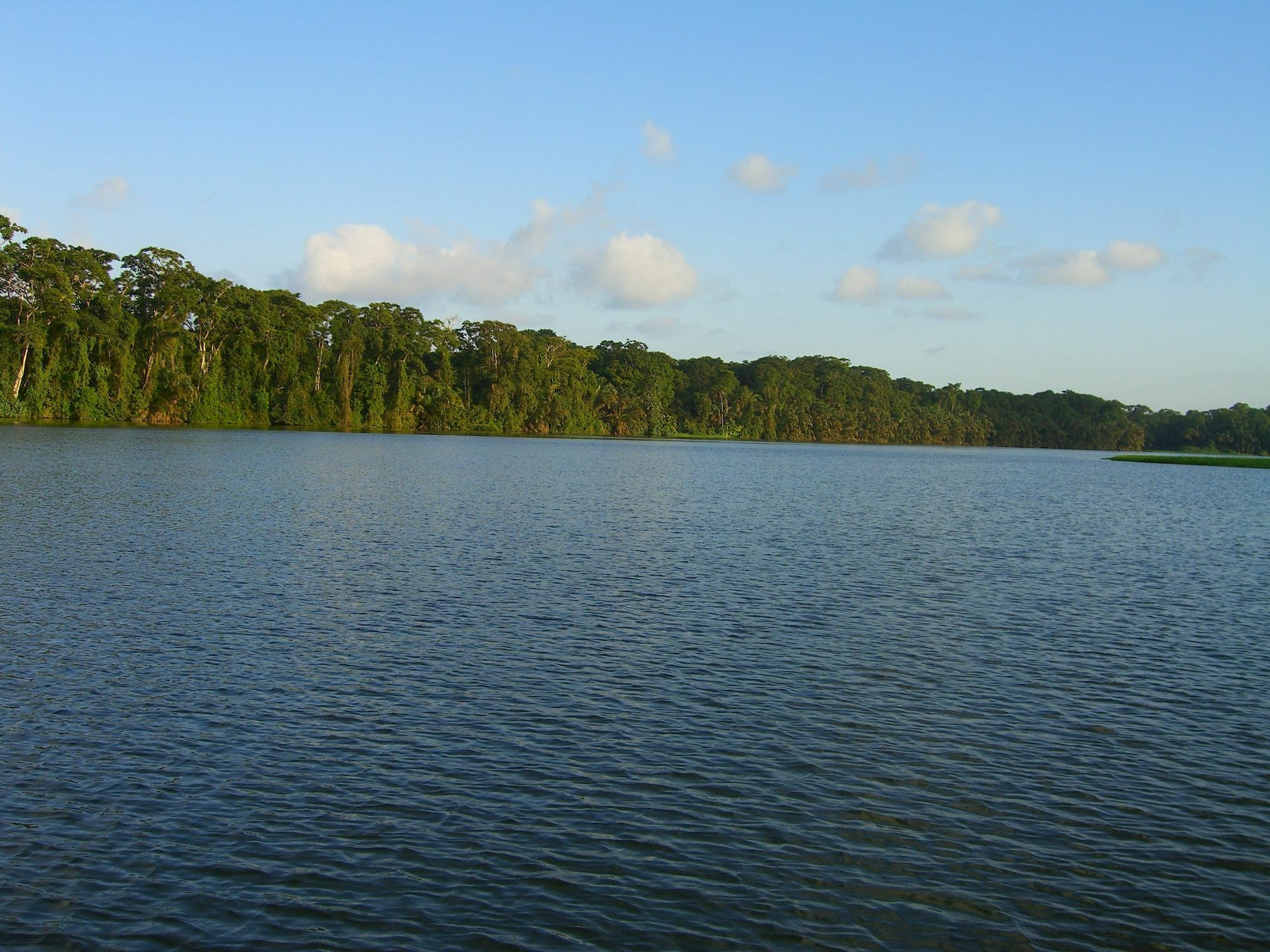 Lirio Lodge Barra de Pacuare Zewnętrze zdjęcie