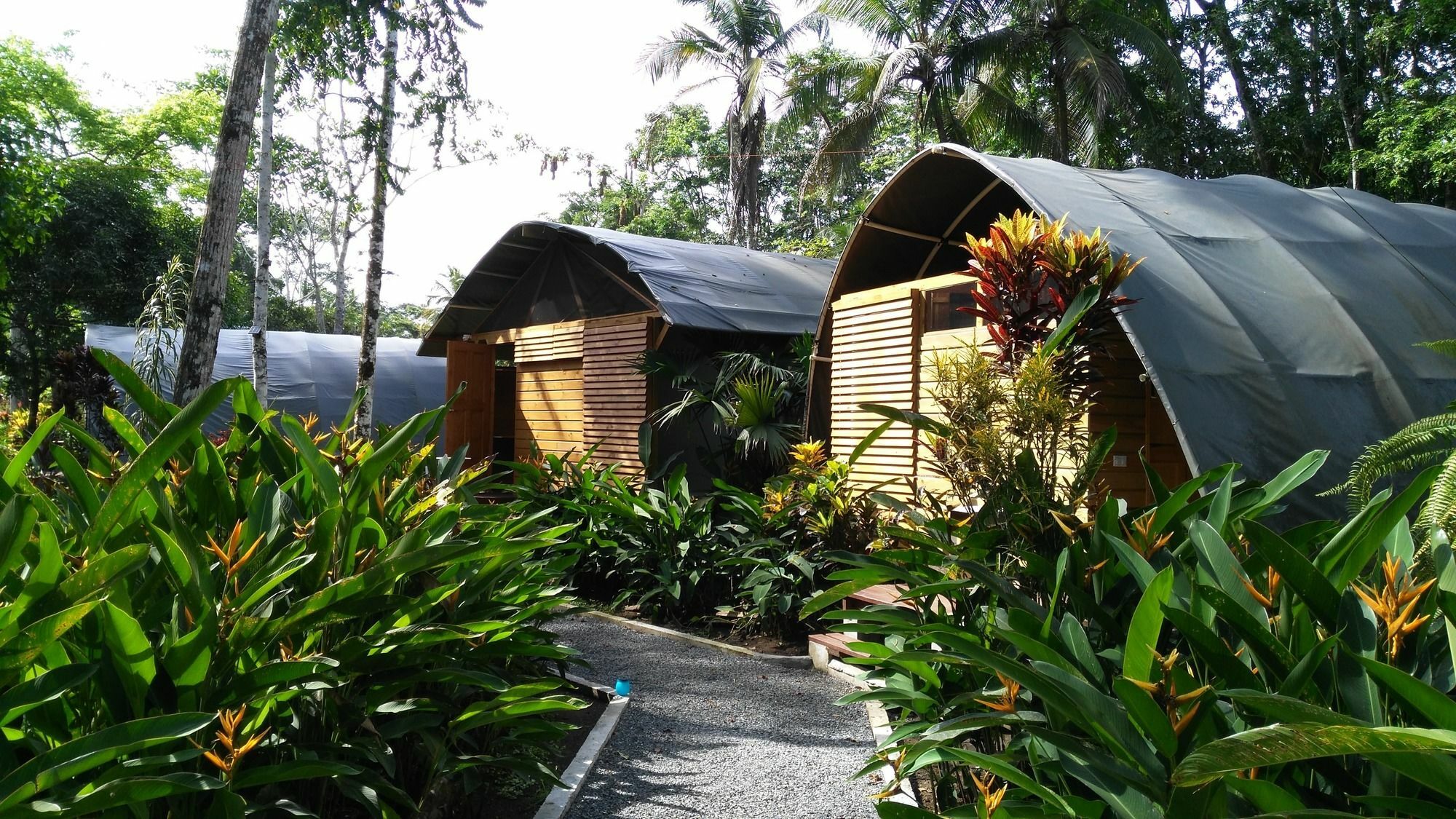 Lirio Lodge Barra de Pacuare Zewnętrze zdjęcie