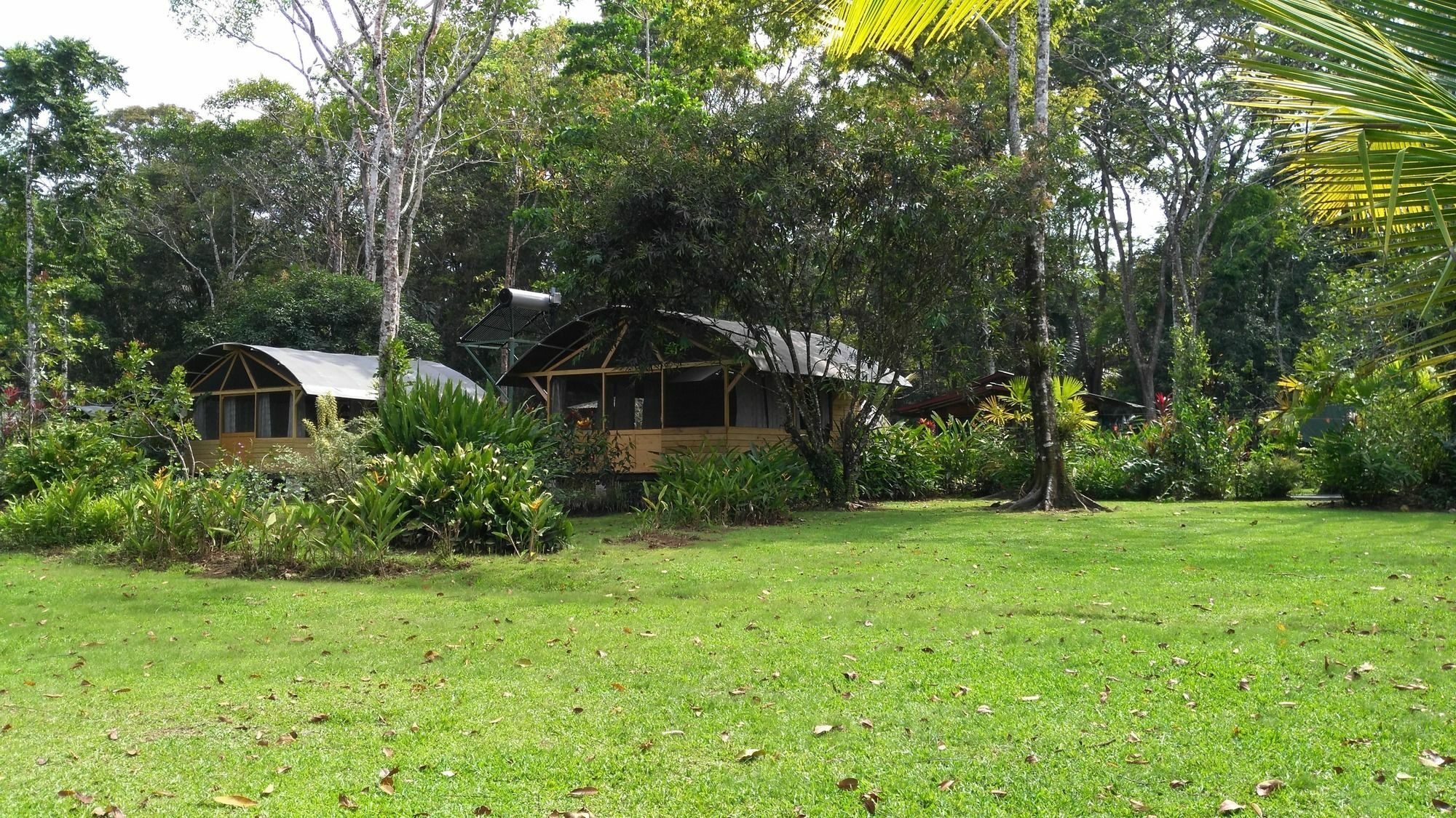 Lirio Lodge Barra de Pacuare Zewnętrze zdjęcie