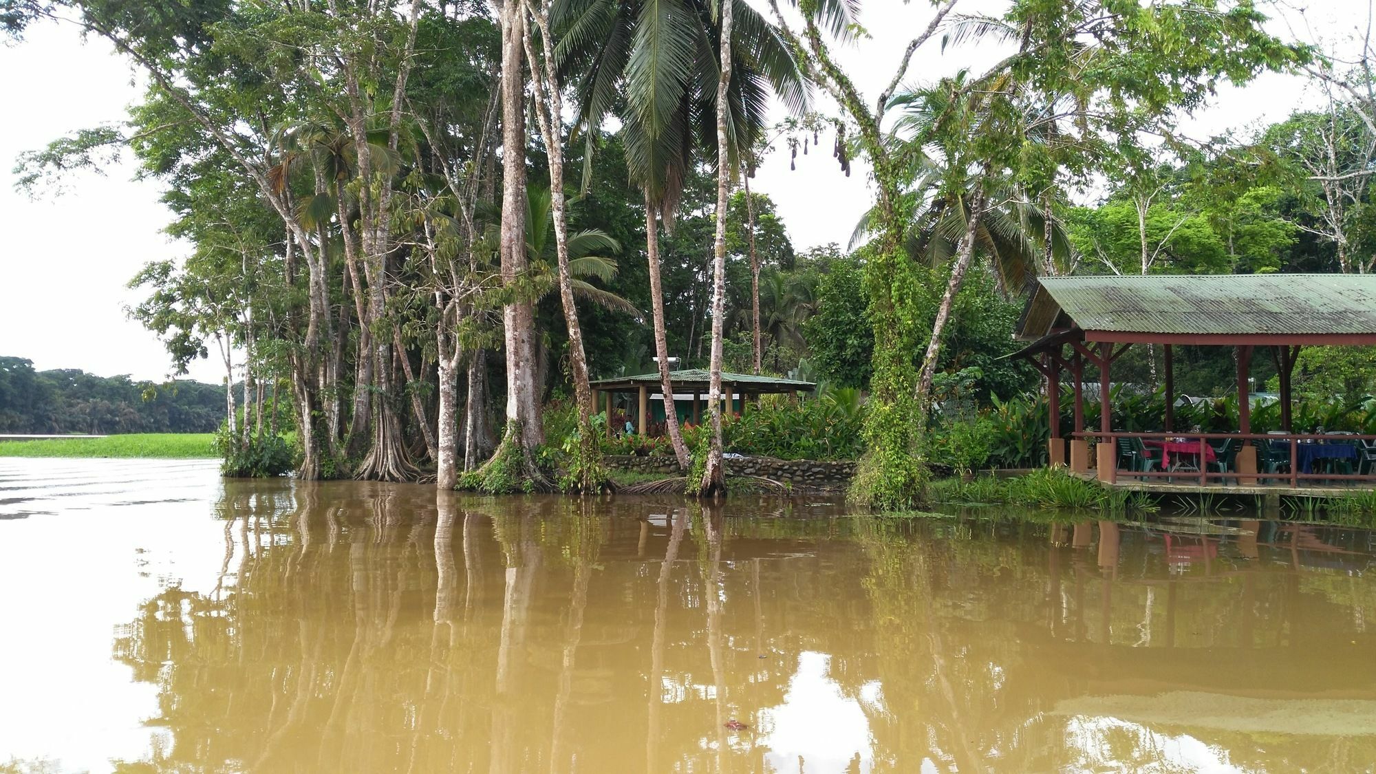 Lirio Lodge Barra de Pacuare Zewnętrze zdjęcie
