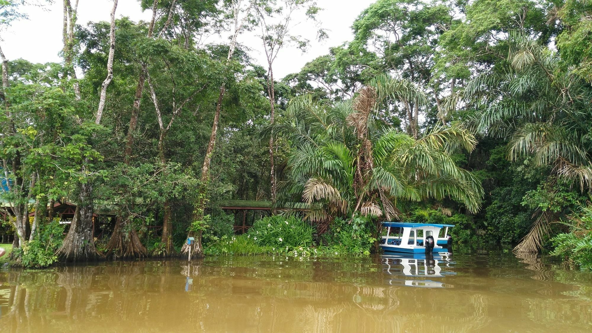 Lirio Lodge Barra de Pacuare Zewnętrze zdjęcie