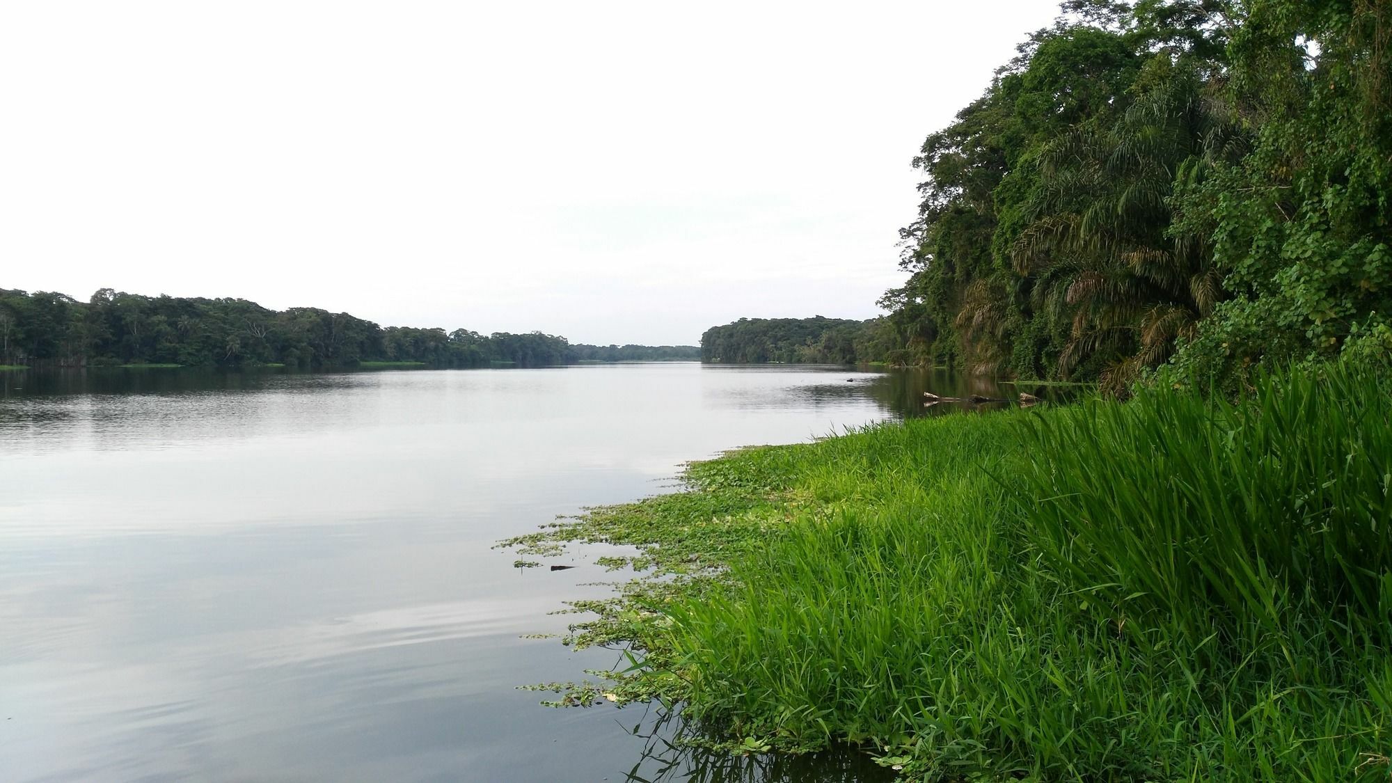 Lirio Lodge Barra de Pacuare Zewnętrze zdjęcie