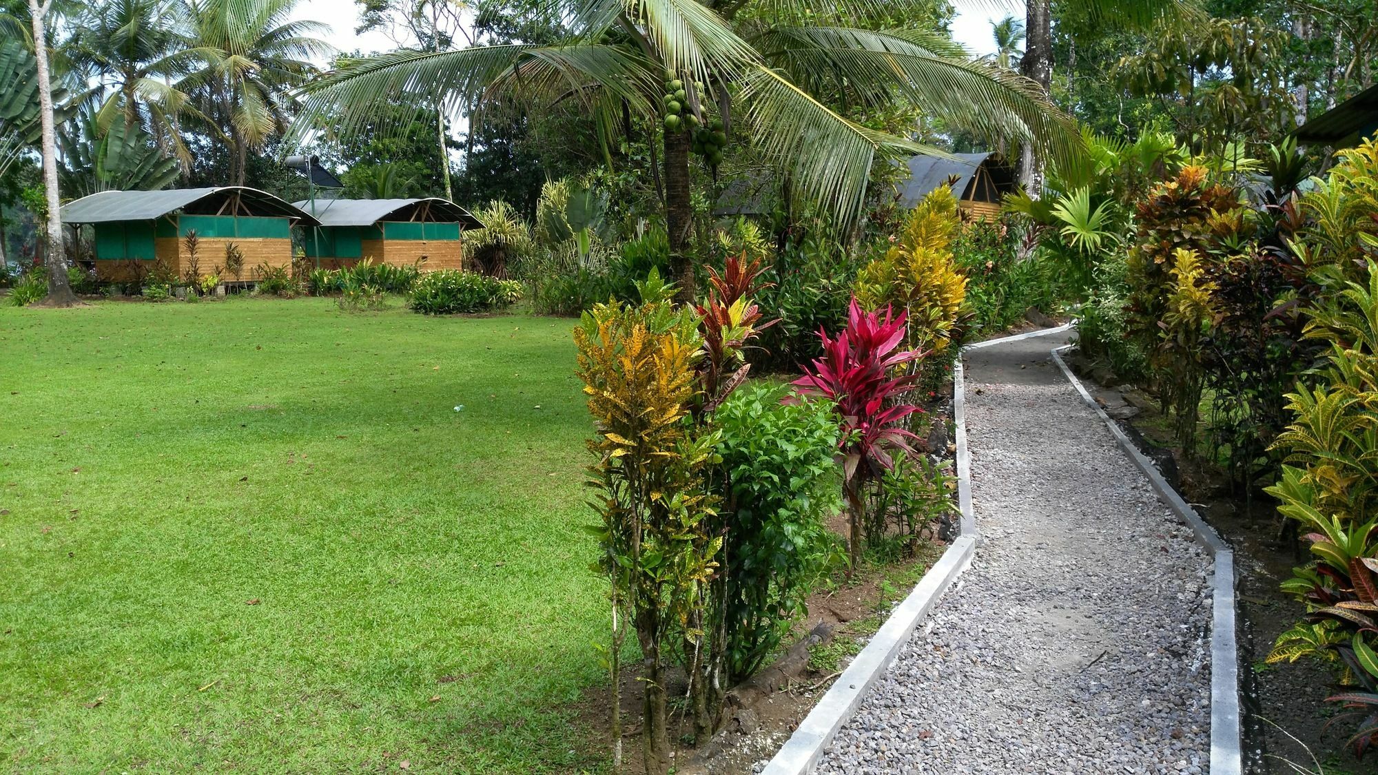 Lirio Lodge Barra de Pacuare Zewnętrze zdjęcie