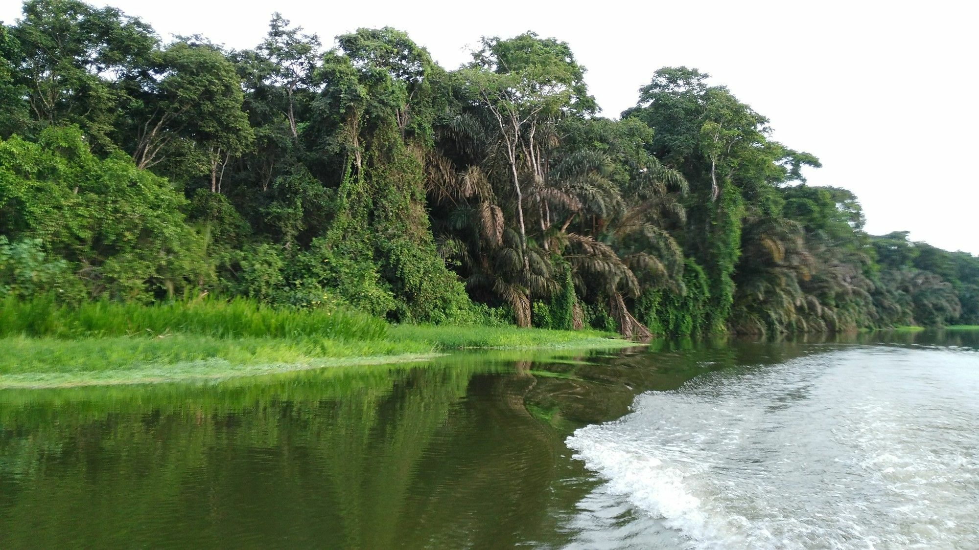Lirio Lodge Barra de Pacuare Zewnętrze zdjęcie